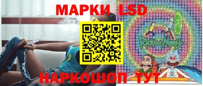 индика Рыбинск