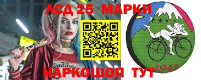 индика Рыбинск