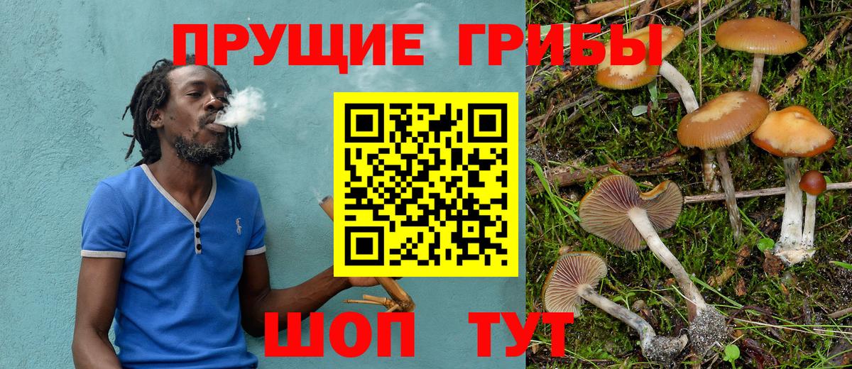 Галлюциногенные грибы Psilocybe  магазин продажи наркотиков  Рубцовск  Вход с VPN 